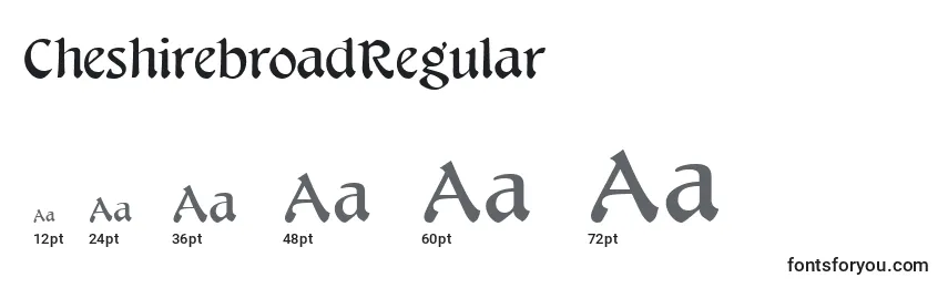 Размеры шрифта CheshirebroadRegular