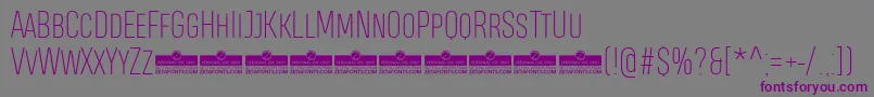 HeadingProSmallcaseThinTrial Font – Purple Fonts on Gray Background