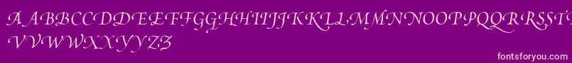 PoeticaSuppSwashCapitalsIi Font – Pink Fonts on Purple Background