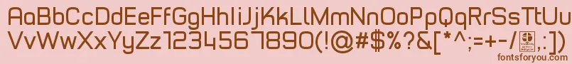 TypoStyleRegularDemo Font – Brown Fonts on Pink Background