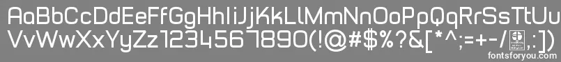 フォントTypoStyleRegularDemo – 灰色の背景に白い文字