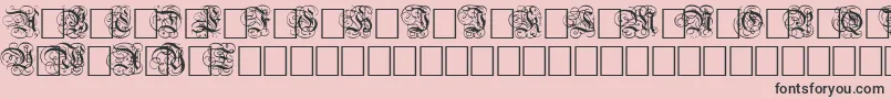 DutchInitialsNormal-Schriftart – Schwarze Schriften auf rosa Hintergrund
