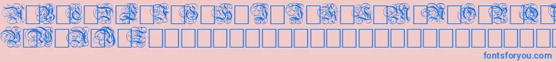 DutchInitialsNormal Font – Blue Fonts on Pink Background