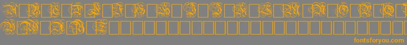 DutchInitialsNormal Font – Orange Fonts on Gray Background