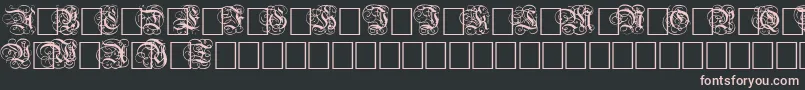 DutchInitialsNormal-Schriftart – Rosa Schriften auf schwarzem Hintergrund