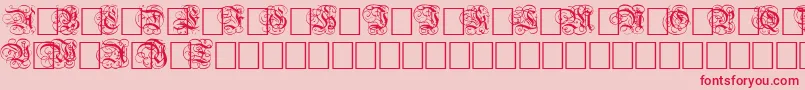 DutchInitialsNormal Font – Red Fonts on Pink Background