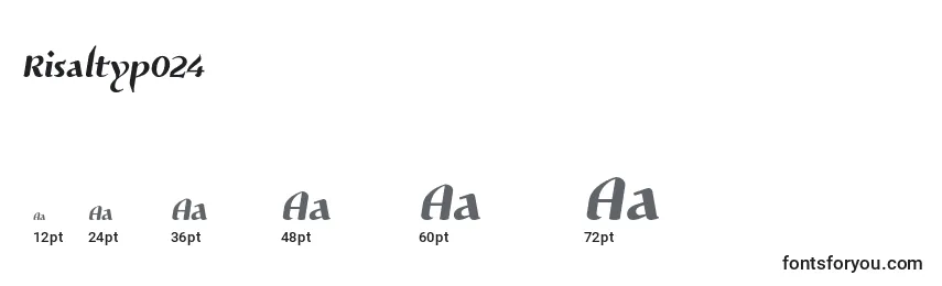 Размеры шрифта Risaltyp024 (92128)