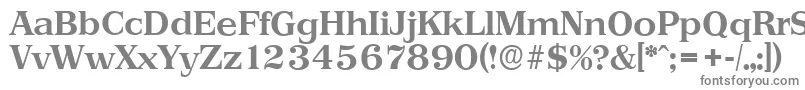 フォントPriamosserialBold – 白い背景に灰色の文字