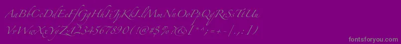 フォントZapfinoextraltpro – 紫の背景に灰色の文字