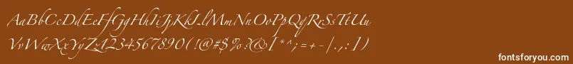 Zapfinoextraltpro-Schriftart – Weiße Schriften auf braunem Hintergrund