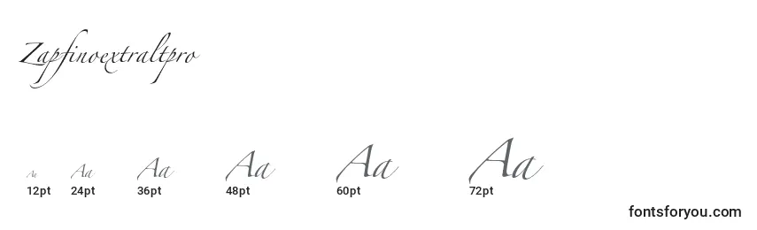 Размеры шрифта Zapfinoextraltpro