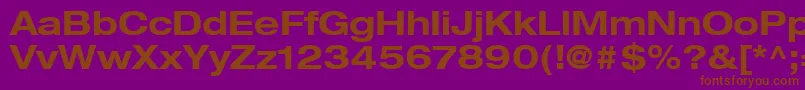 HelveticaLt73BoldExtended Font – Brown Fonts on Purple Background