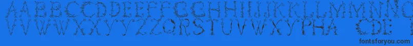 Florabetic-Schriftart – Schwarze Schriften auf blauem Hintergrund