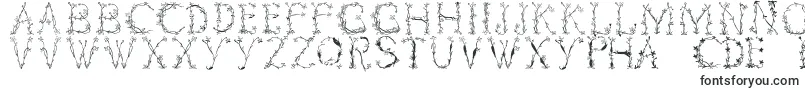 Florabetic-Schriftart – Witzige Schriften