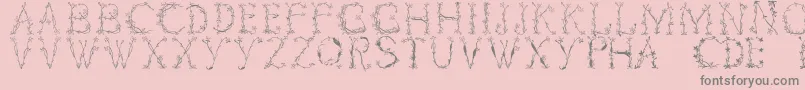 Florabetic-Schriftart – Graue Schriften auf rosa Hintergrund