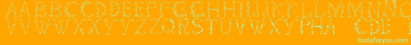 Florabetic-Schriftart – Grüne Schriften auf orangefarbenem Hintergrund