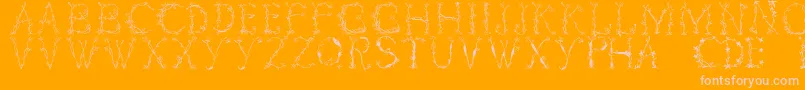 Florabetic-Schriftart – Rosa Schriften auf orangefarbenem Hintergrund