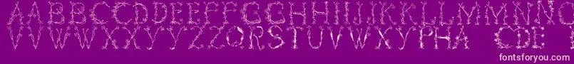 Florabetic Font – Pink Fonts on Purple Background