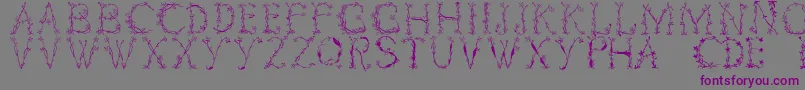 Florabetic-Schriftart – Violette Schriften auf grauem Hintergrund