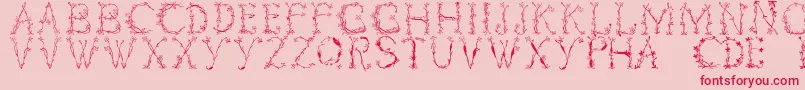 Florabetic Font – Red Fonts on Pink Background