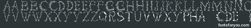 フォントFlorabetic – 黒い背景に白い文字
