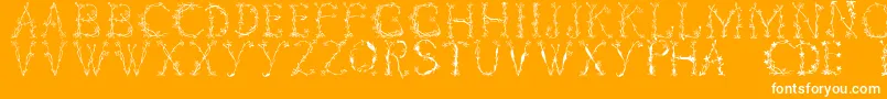 Florabetic Font – White Fonts on Orange Background