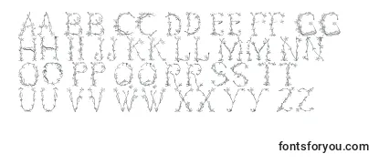 Обзор шрифта Florabetic