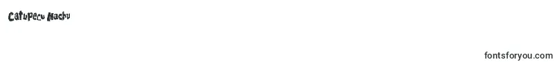 FamousLogos Font – Fonts for Digit 5