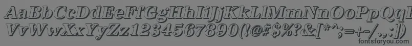 AntiquashBolditalic Font – Black Fonts on Gray Background