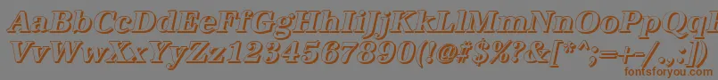 AntiquashBolditalic Font – Brown Fonts on Gray Background