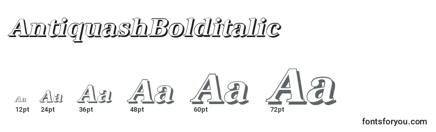 AntiquashBolditalic Font Sizes