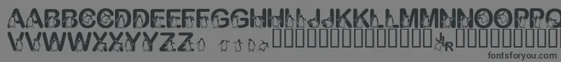 FlPenguin Font – Black Fonts on Gray Background