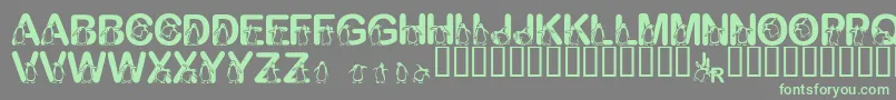 FlPenguin Font – Green Fonts on Gray Background