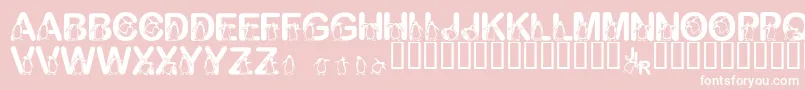 FlPenguin Font – White Fonts on Pink Background