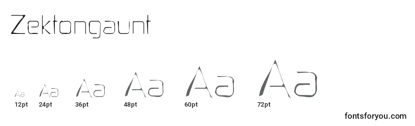 Размеры шрифта Zektongaunt