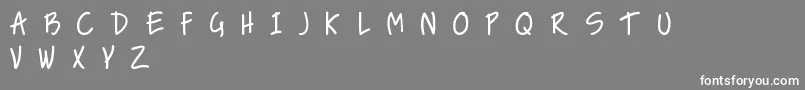 フォントNiceLoveTheSimpleFont – 灰色の背景に白い文字