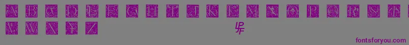 Grimeswade Font – Purple Fonts on Gray Background