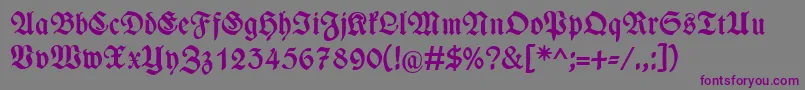 WieynckfrakturFettunz1l Font – Purple Fonts on Gray Background