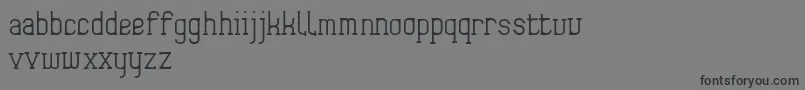 Frida01 Font – Black Fonts on Gray Background
