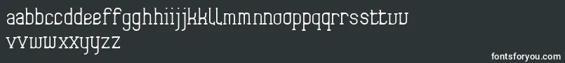 Frida01 Font – White Fonts on Black Background