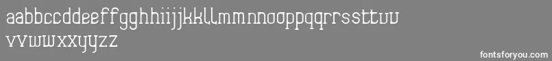 Frida01 Font – White Fonts on Gray Background