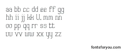 Обзор шрифта Frida01