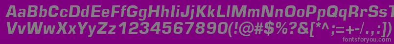 Square721DmItalic Font – Gray Fonts on Purple Background
