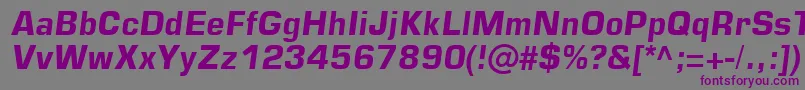 Шрифт Square721DmItalic – фиолетовые шрифты на сером фоне
