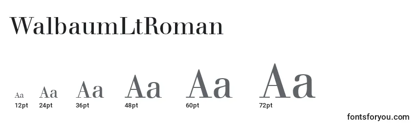 WalbaumLtRoman Font Sizes