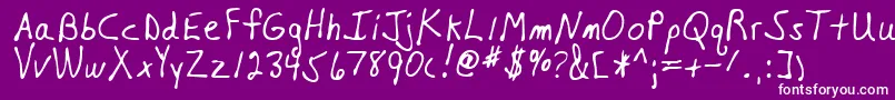 NiagaraRegular Font – White Fonts on Purple Background