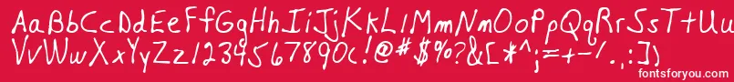 NiagaraRegular Font – White Fonts on Red Background