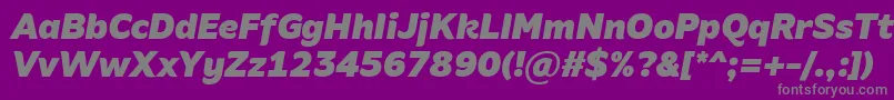 AminoBlackItalicフォントについての詳細 フォントAminoBlackItalic – 紫の背景に灰色の文字