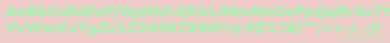 AminoBlackItalic Font – Green Fonts on Pink Background