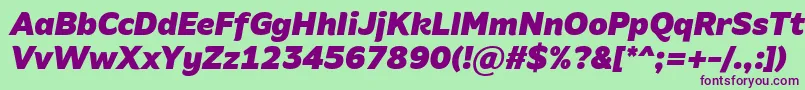 AminoBlackItalic Font – Purple Fonts on Green Background